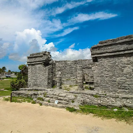 Menesse 102 At Av Coba